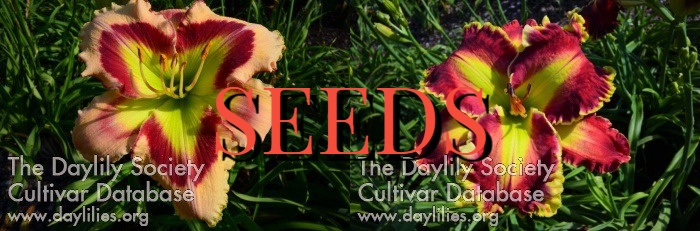 SEEDS